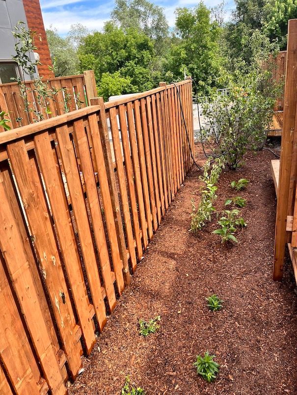A wooden fence surrounds a lush green garden.