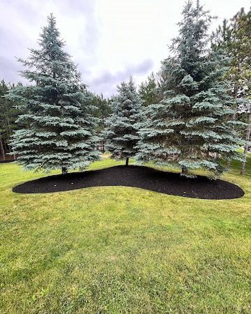 There are two trees in the middle of a lush green field.