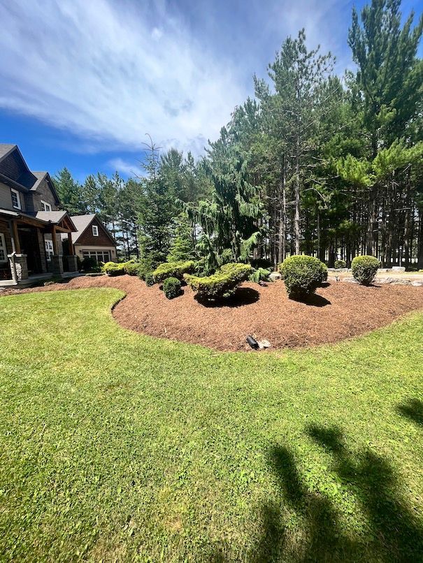 A large lush green lawn with trees in the background and a house in the background.