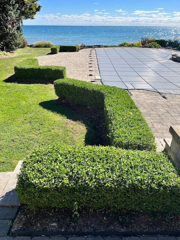 A lush green yard with a swimming pool and a view of the ocean.