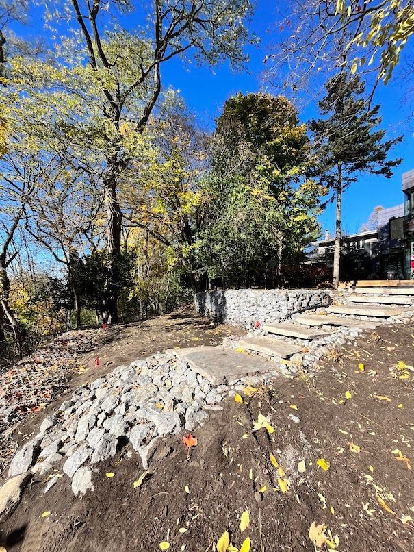 There is a lot of dirt and rocks in the foreground and trees in the background.