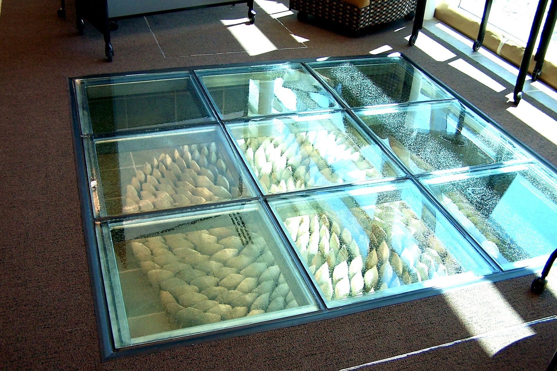Glass-floored patio revealing decorative shells, over a brown carpet.