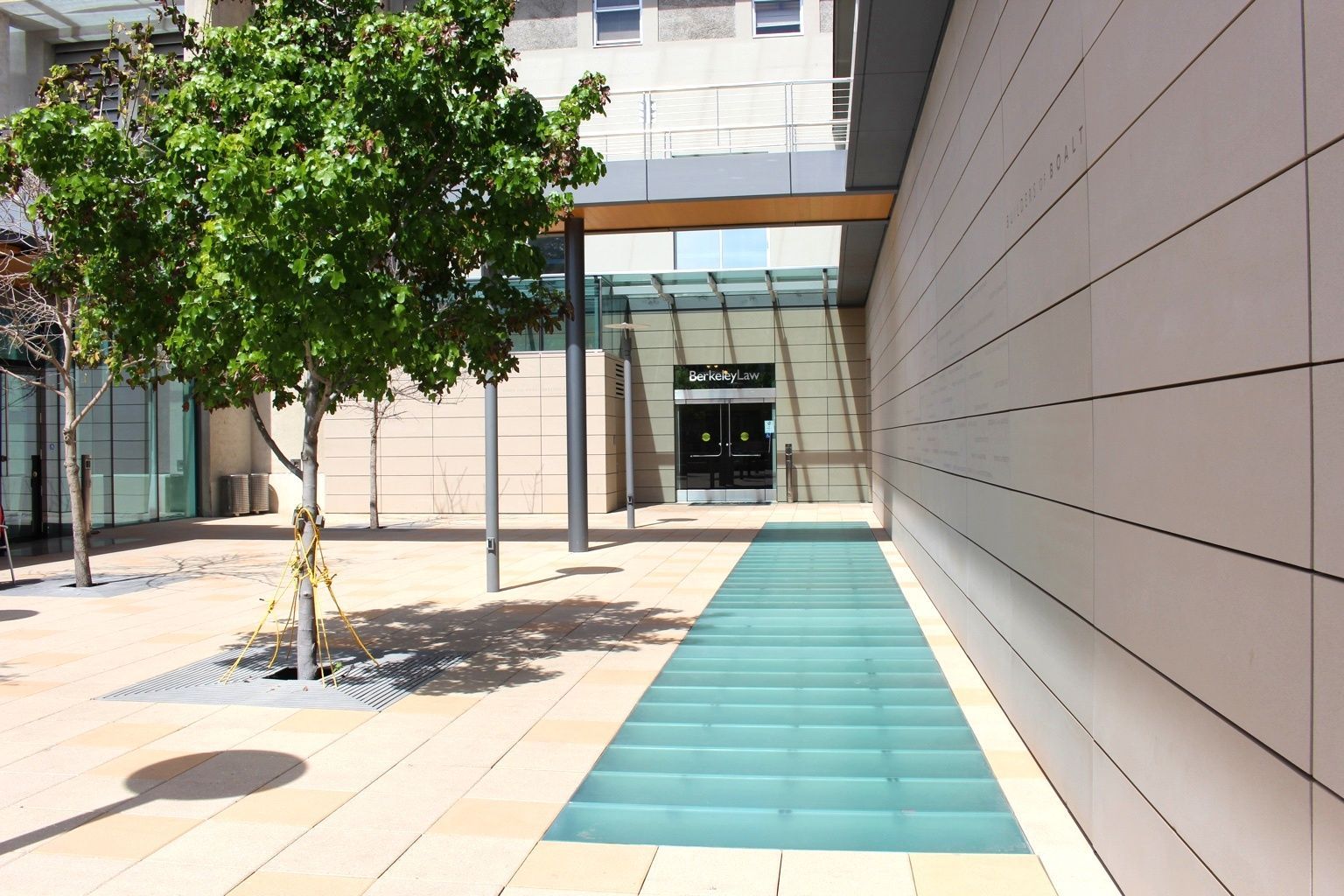 Courtyard with a tree, blue glass pathway, and building entrance.
