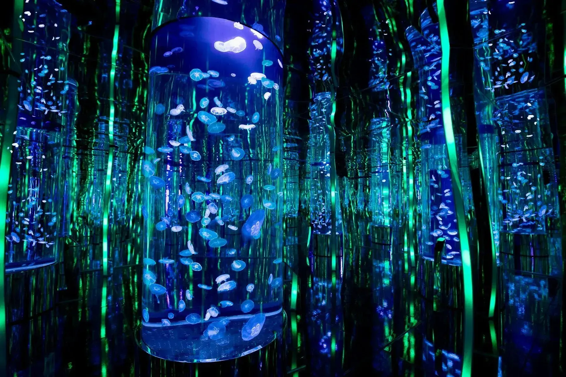 Blue jellyfish tanks in a room with mirrors and green glowing lines. glass flooring