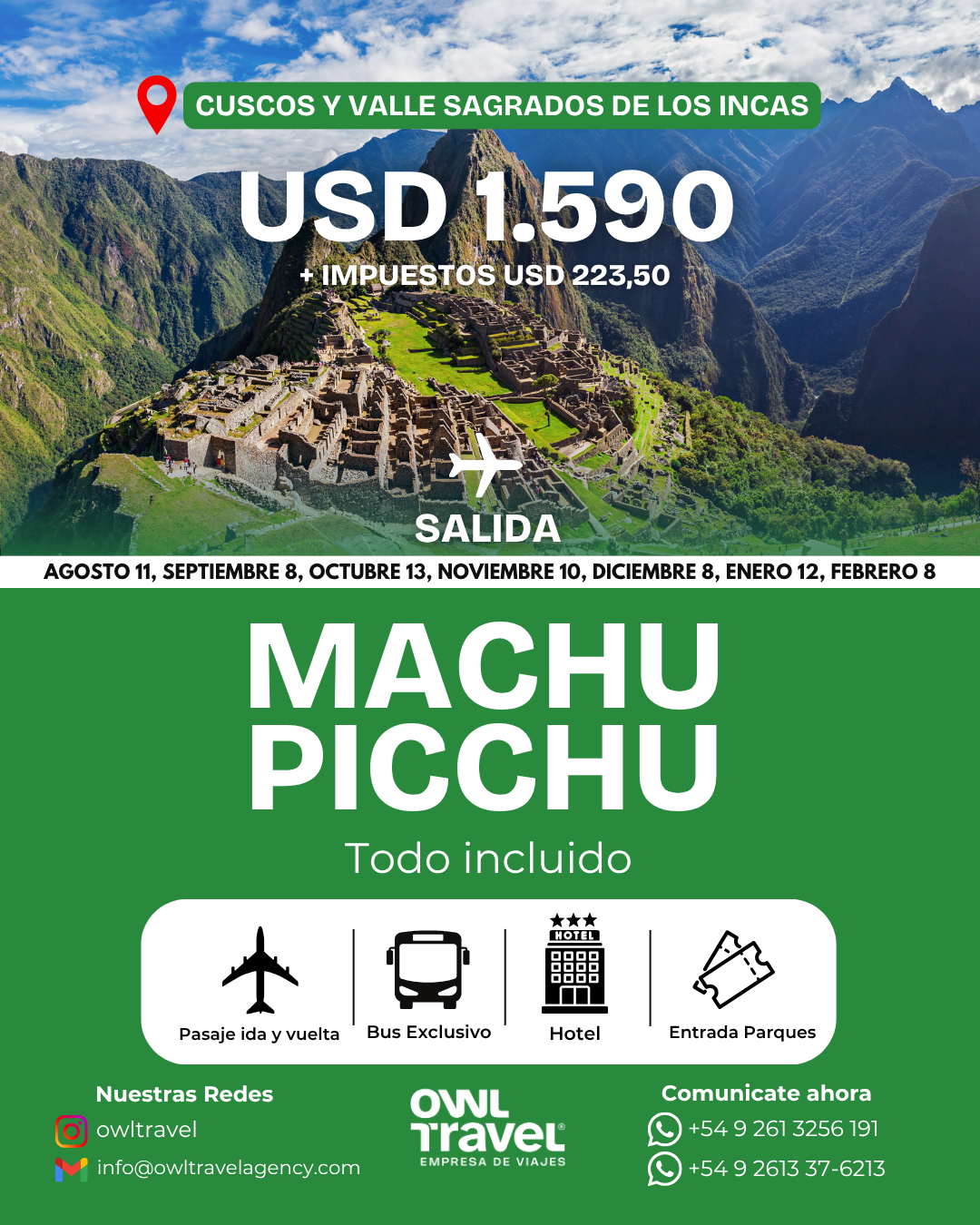 Un grupo de camellos está parado frente a un gran muro de piedra.