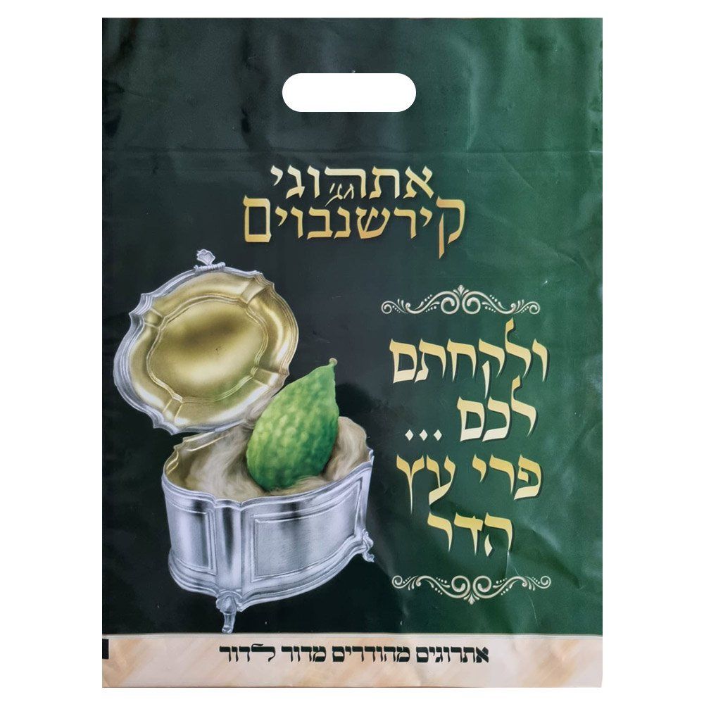 שקיות נשיאה מניילון