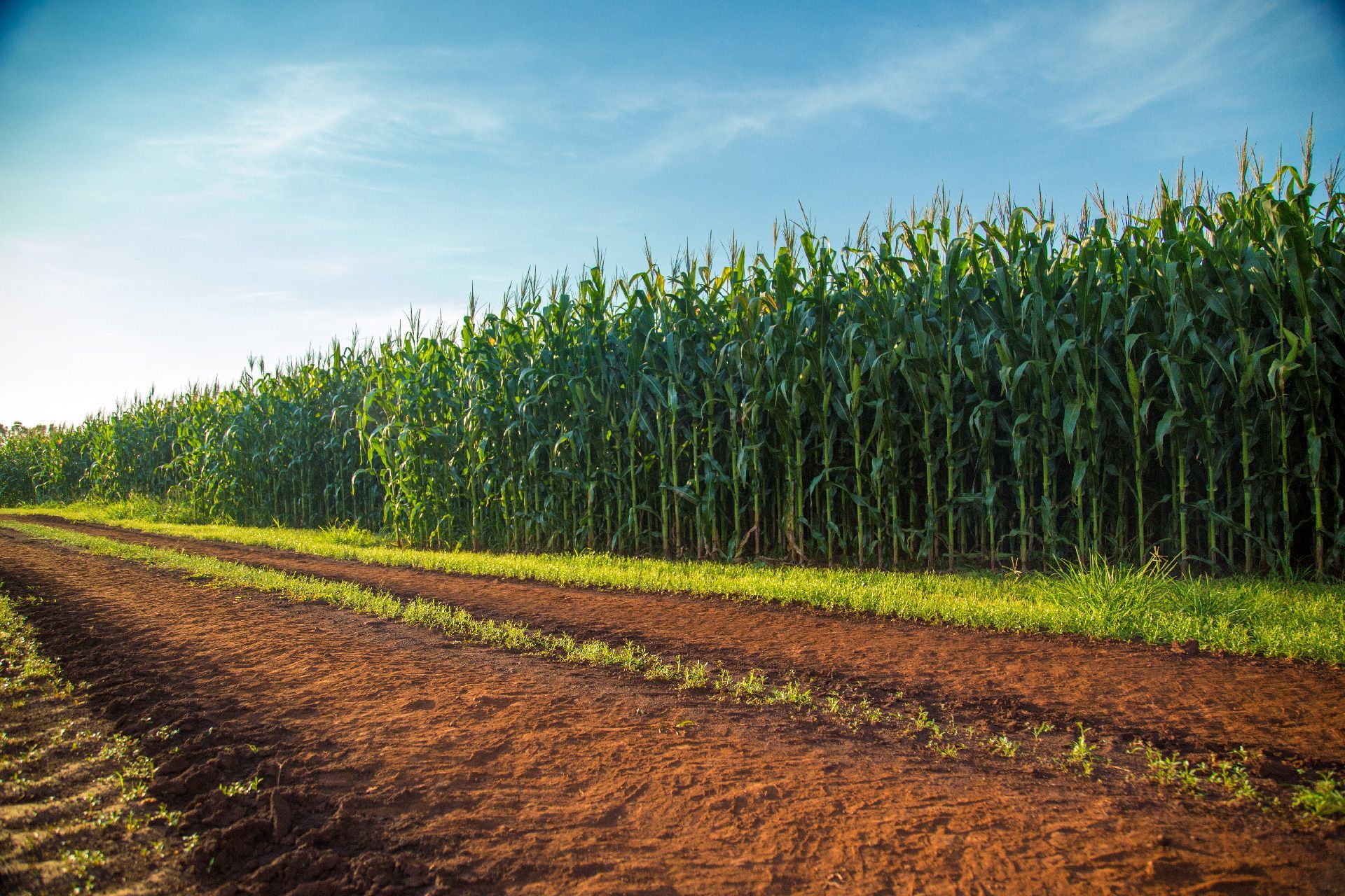INNOVAGRO R&M