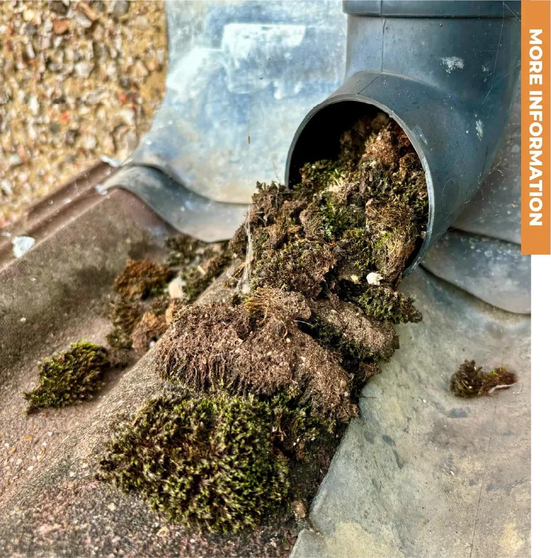 Moss is coming out of a pipe on a roof