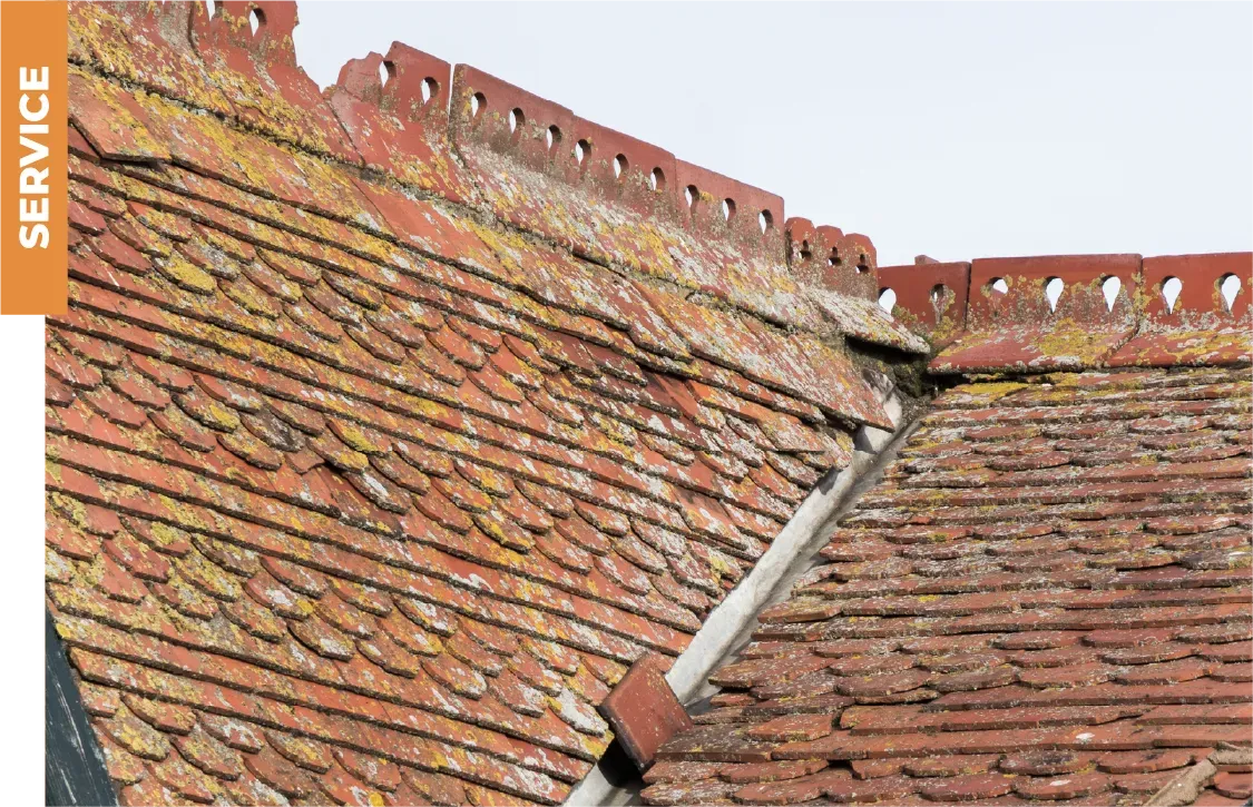 A close up of a roof with the word service on it
