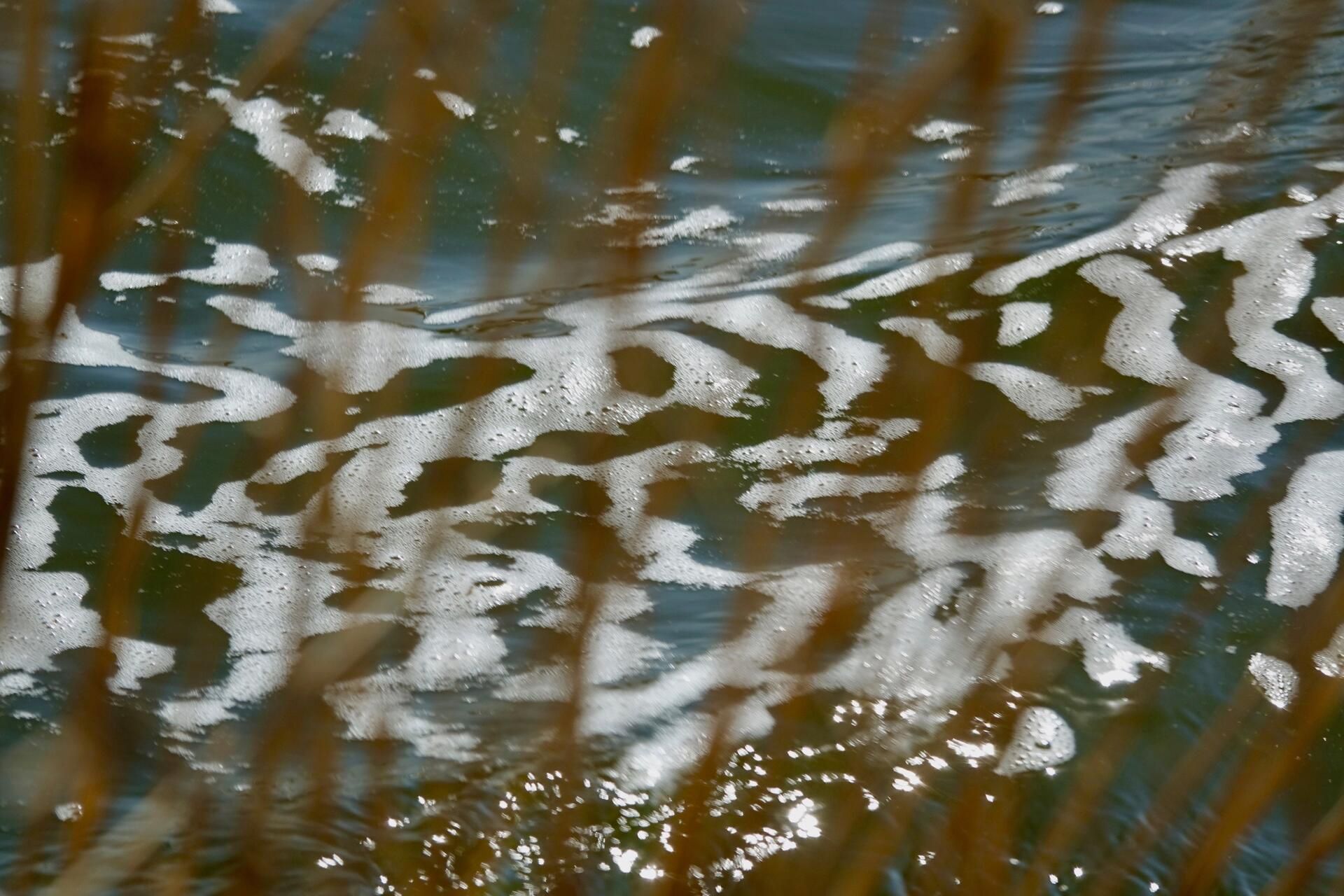 LS' 2020, REFLECTION #16, photo.