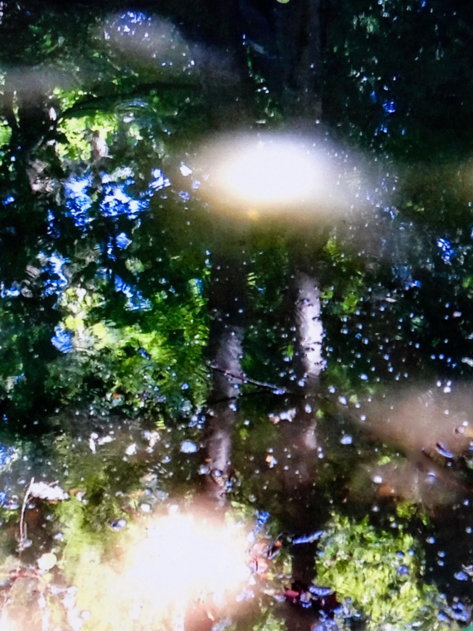 LS' 2020, REFLECTION #02, photo.