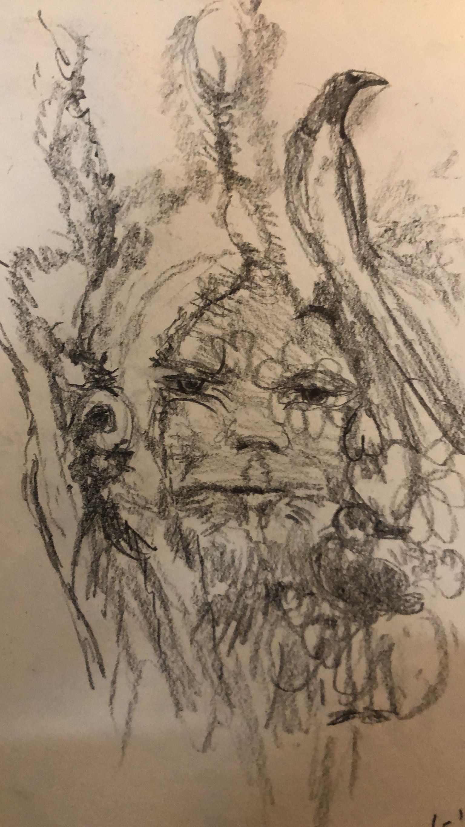 LS' 2022. Man met Raaf.(Man with Raven) Sketch, graphit pencil on paper. Drawing.