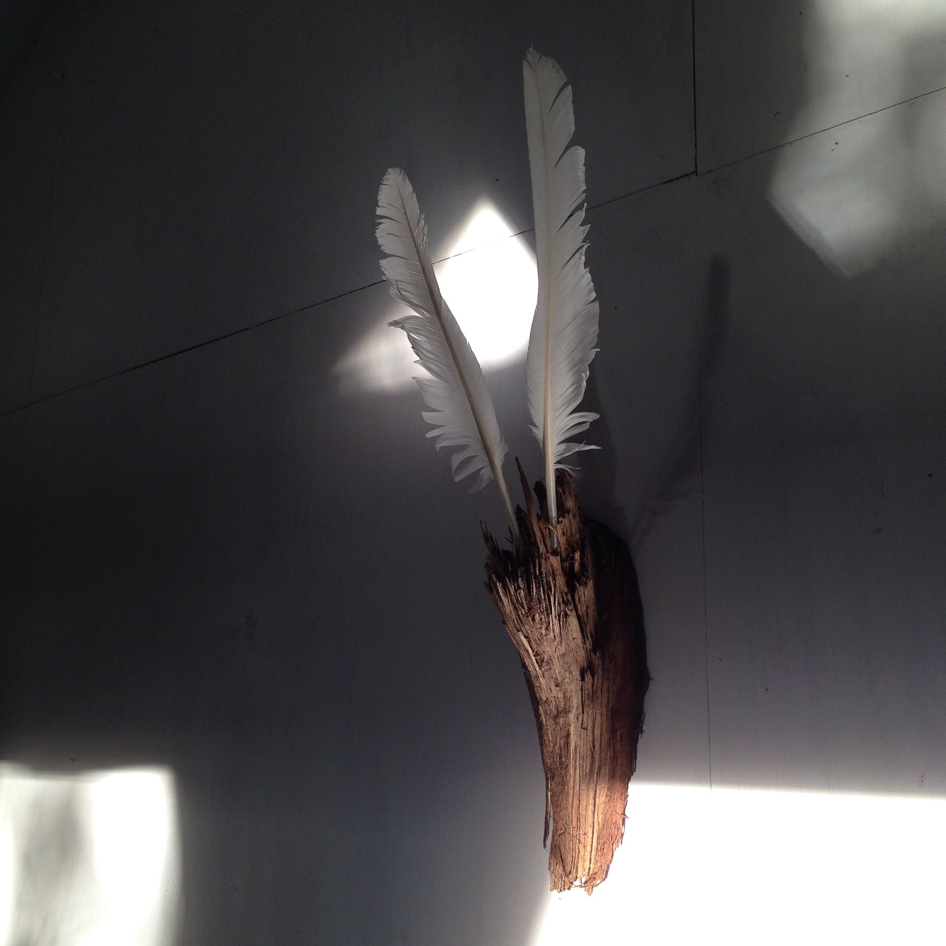 LS' 2019, Vliegend Hert, (Flying Deer). Hout en veren.