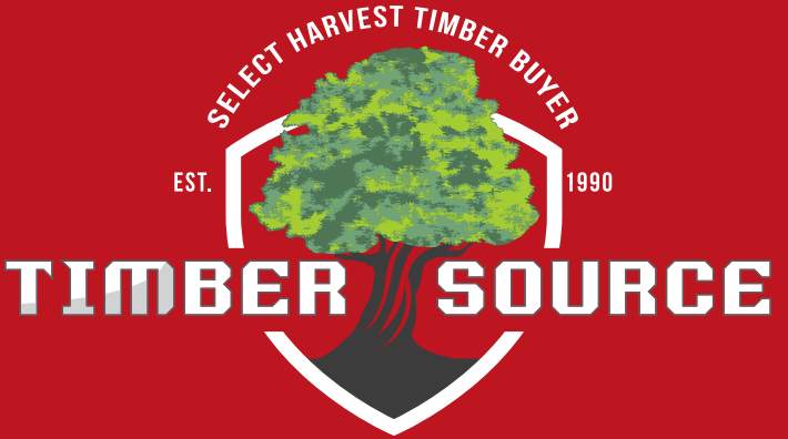 A logo for a tree service company with a tree in the middle.