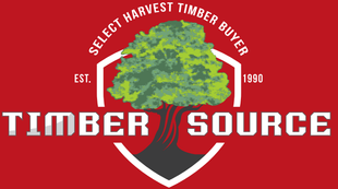 A logo for a tree service company with a tree in the middle.