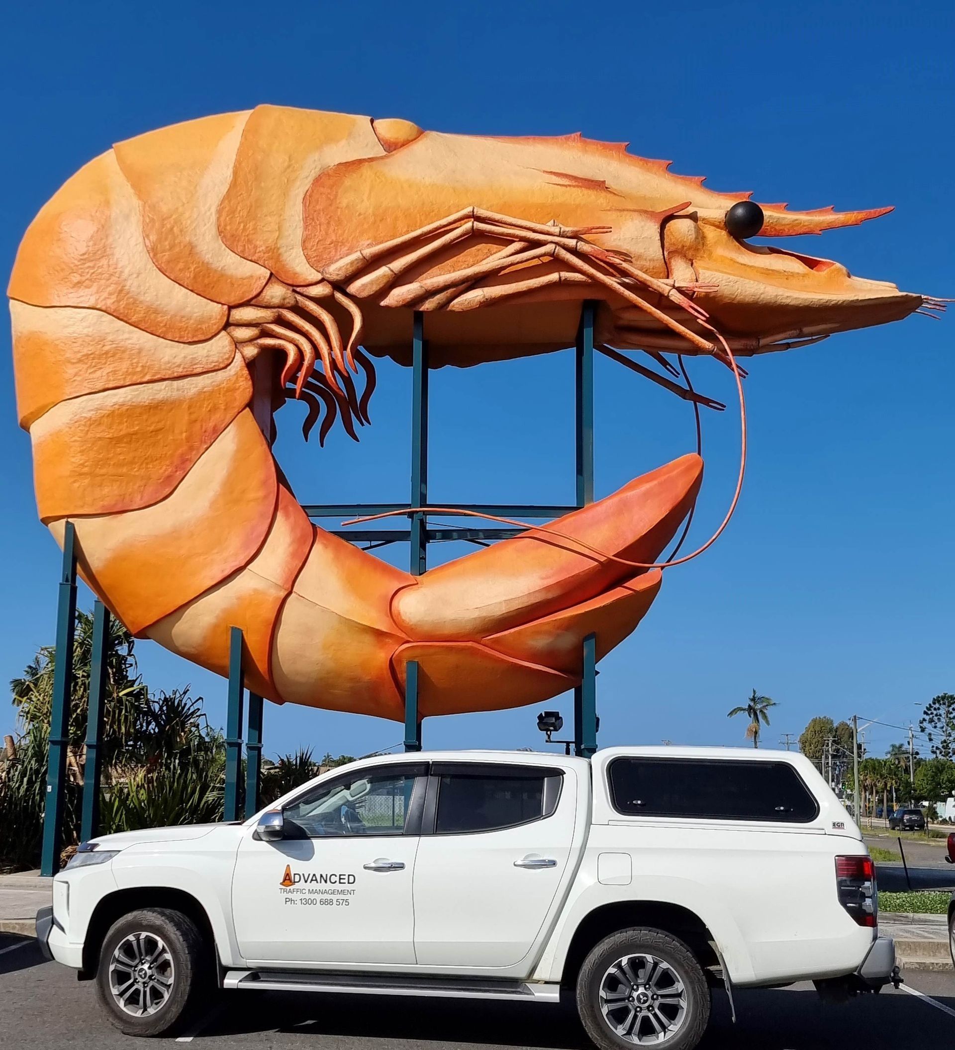 Man walking on a pedestrian footpath. Orange traffic cones and metal fences on the road