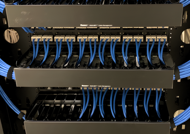 Blue network cables plugged into a black patch panel in a server rack.