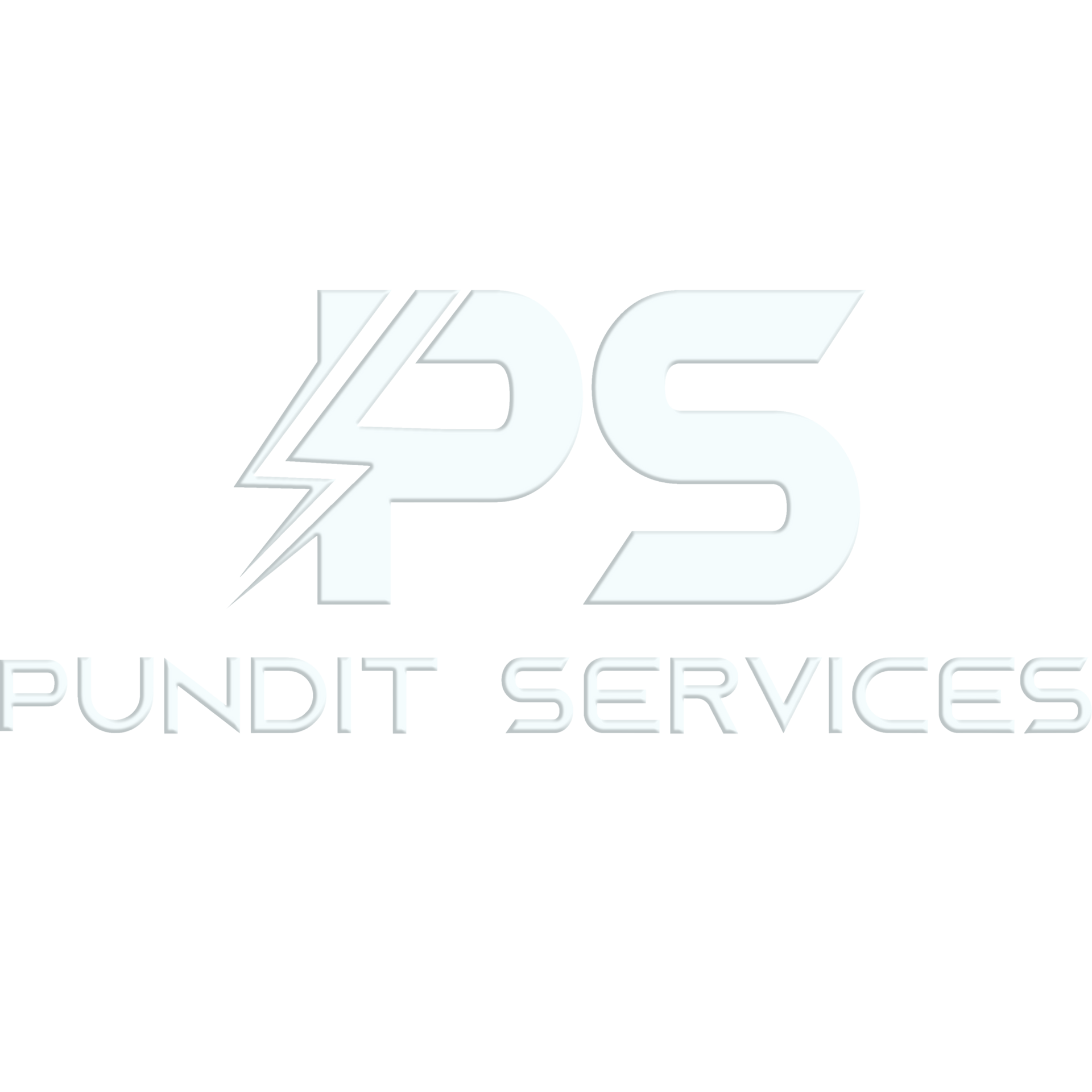 Logo for Pundit Services, featuring stylized 