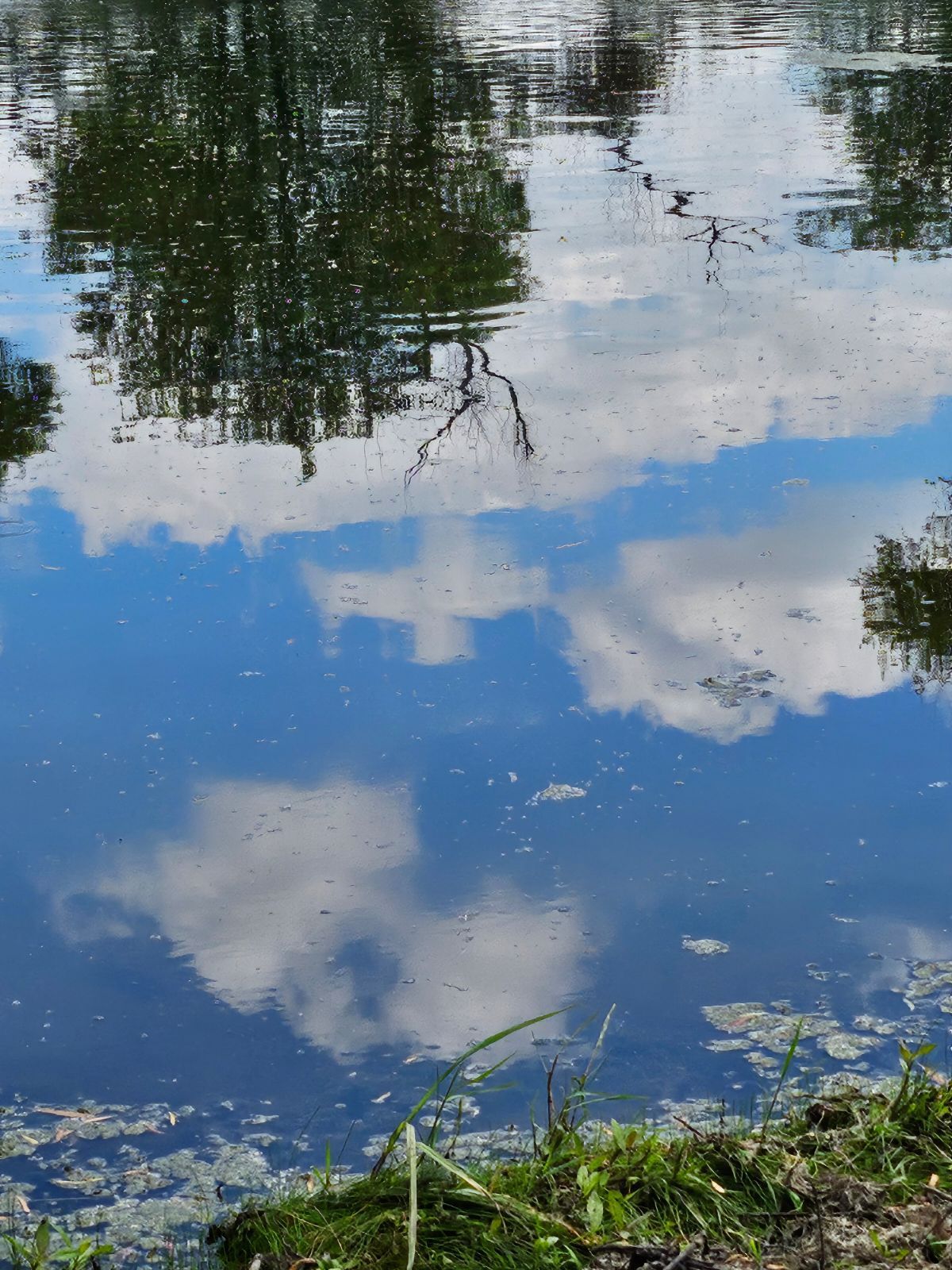 Tree is reflected in the Water of a Lake - Rockwall, TX - G & G Construction Co.