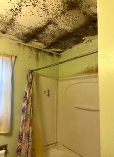 A bathroom with mold growing on the ceiling and walls.