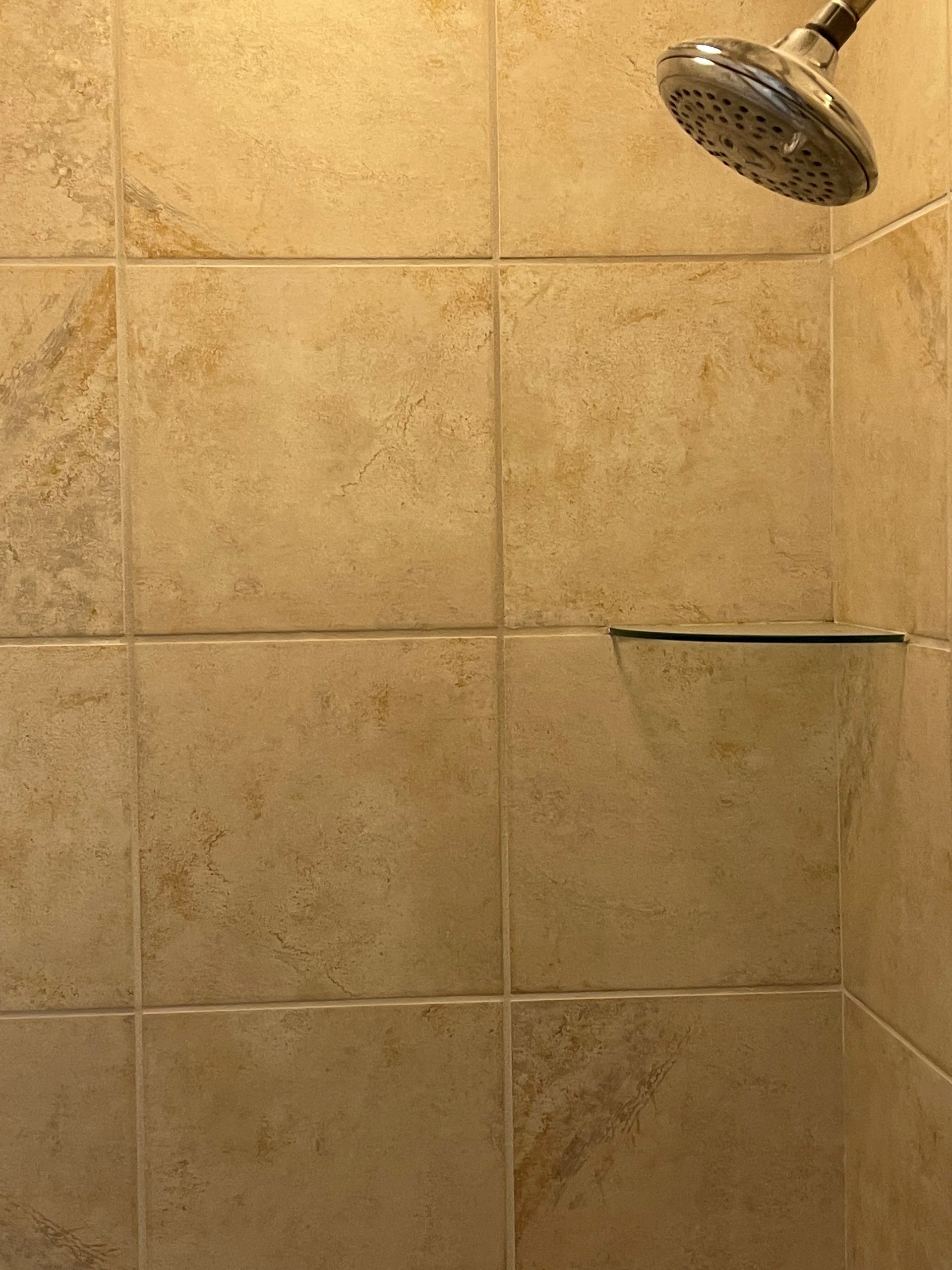 A shower head is hanging from a tiled wall in a bathroom.