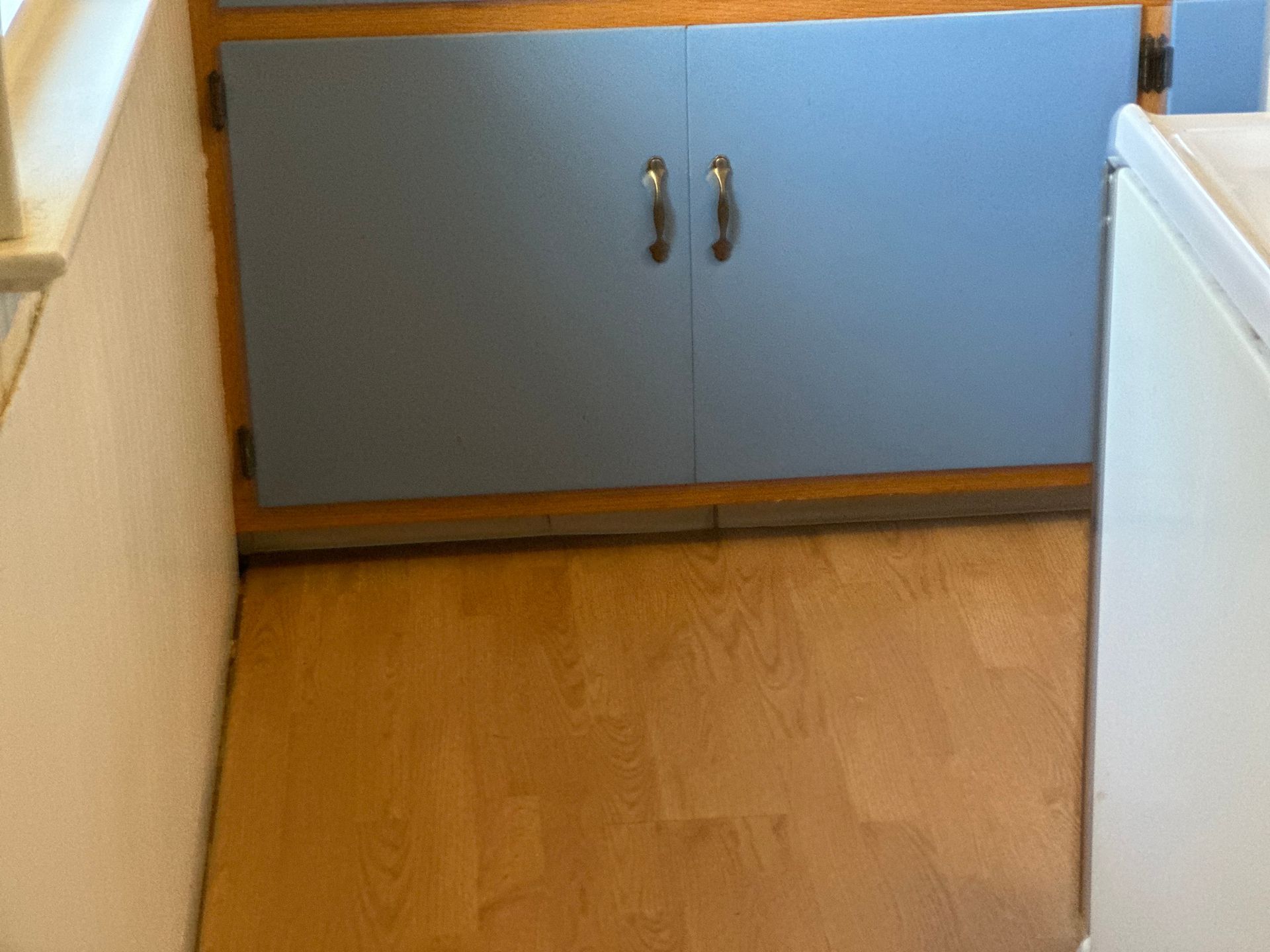 A kitchen with blue cabinets and a white freezer