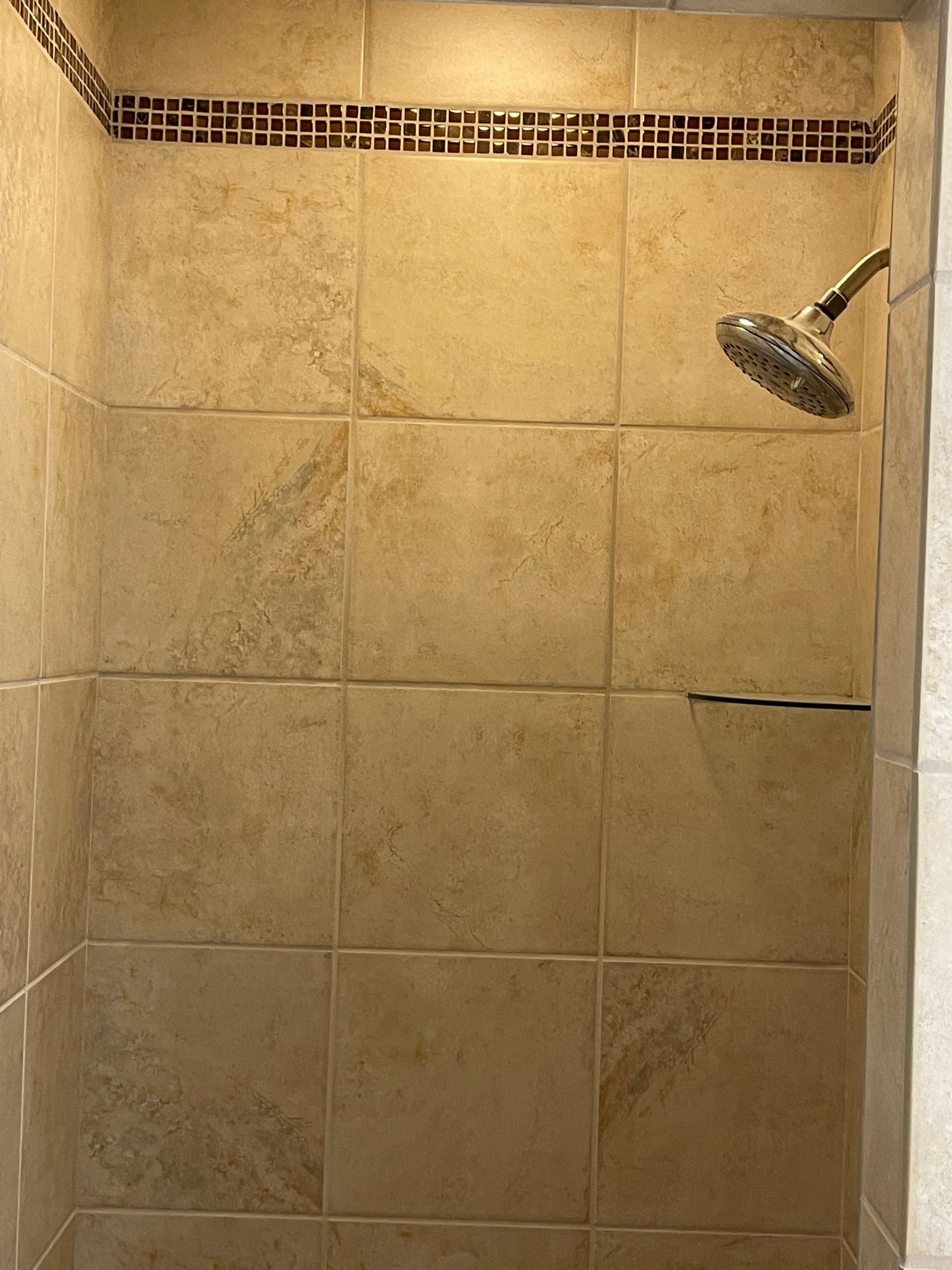Shower stall with tan tiles, a decorative border, and a showerhead.