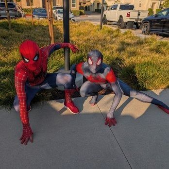 Two people in Spider-Man costumes crouch on a sidewalk in front of a green bush, with cars and a building in the background.