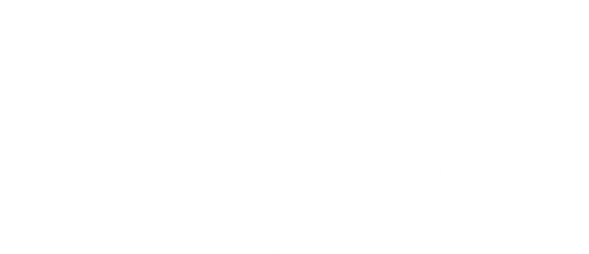 Blank white image