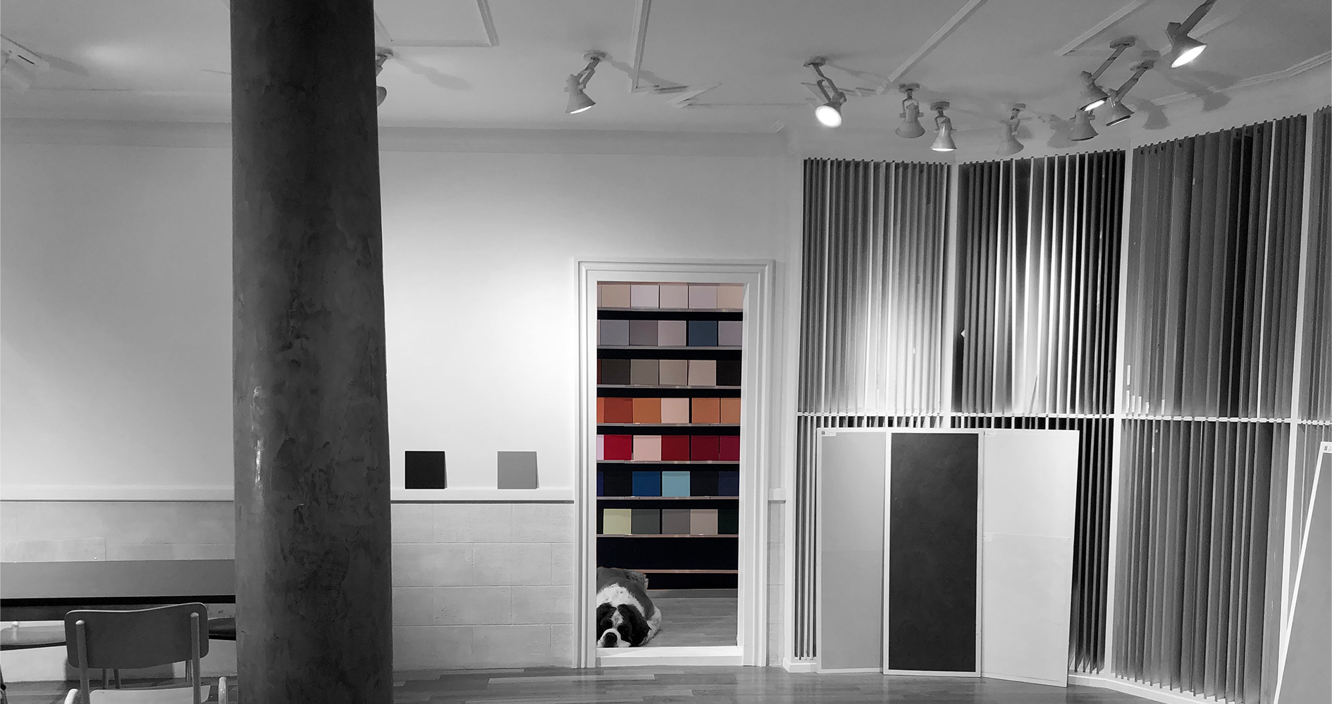 Merlin, der Hund des Besitzers, inmitten des Firmenlokals