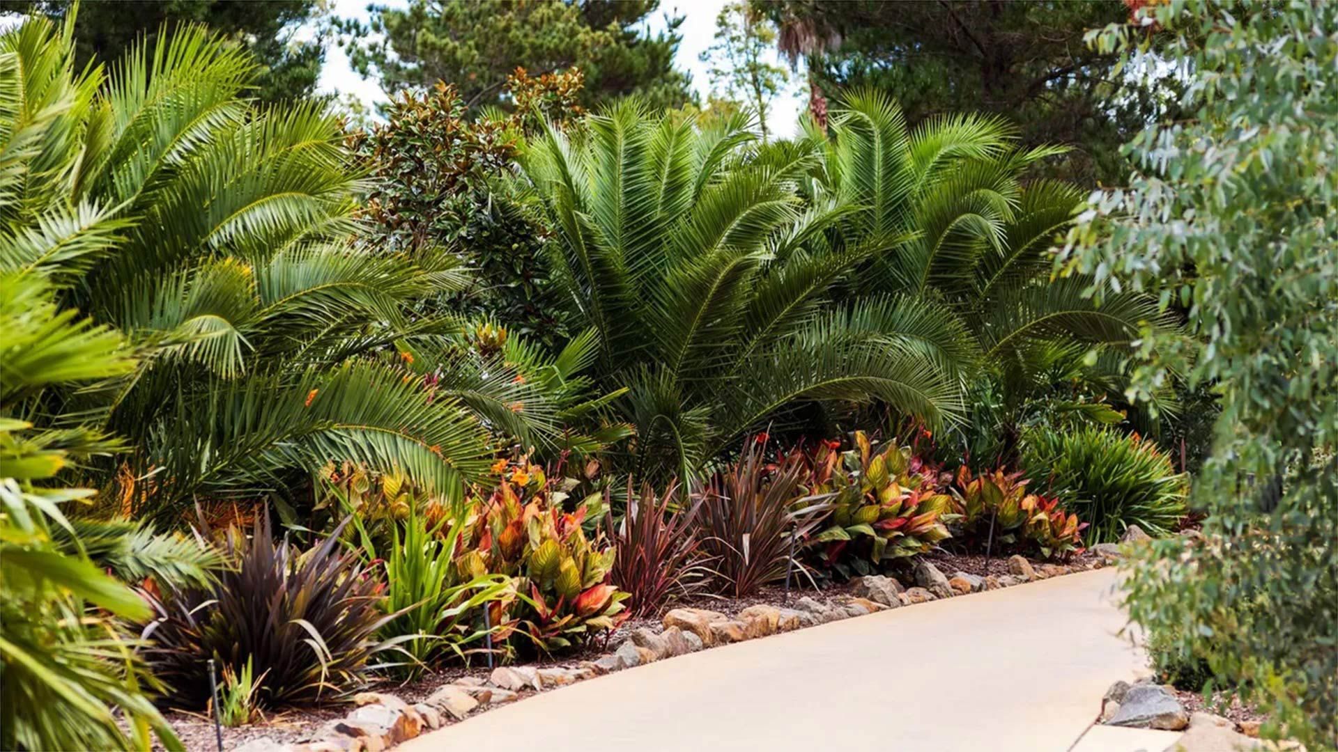 New Coloured Concrete Paths In Hervey Bay QLD