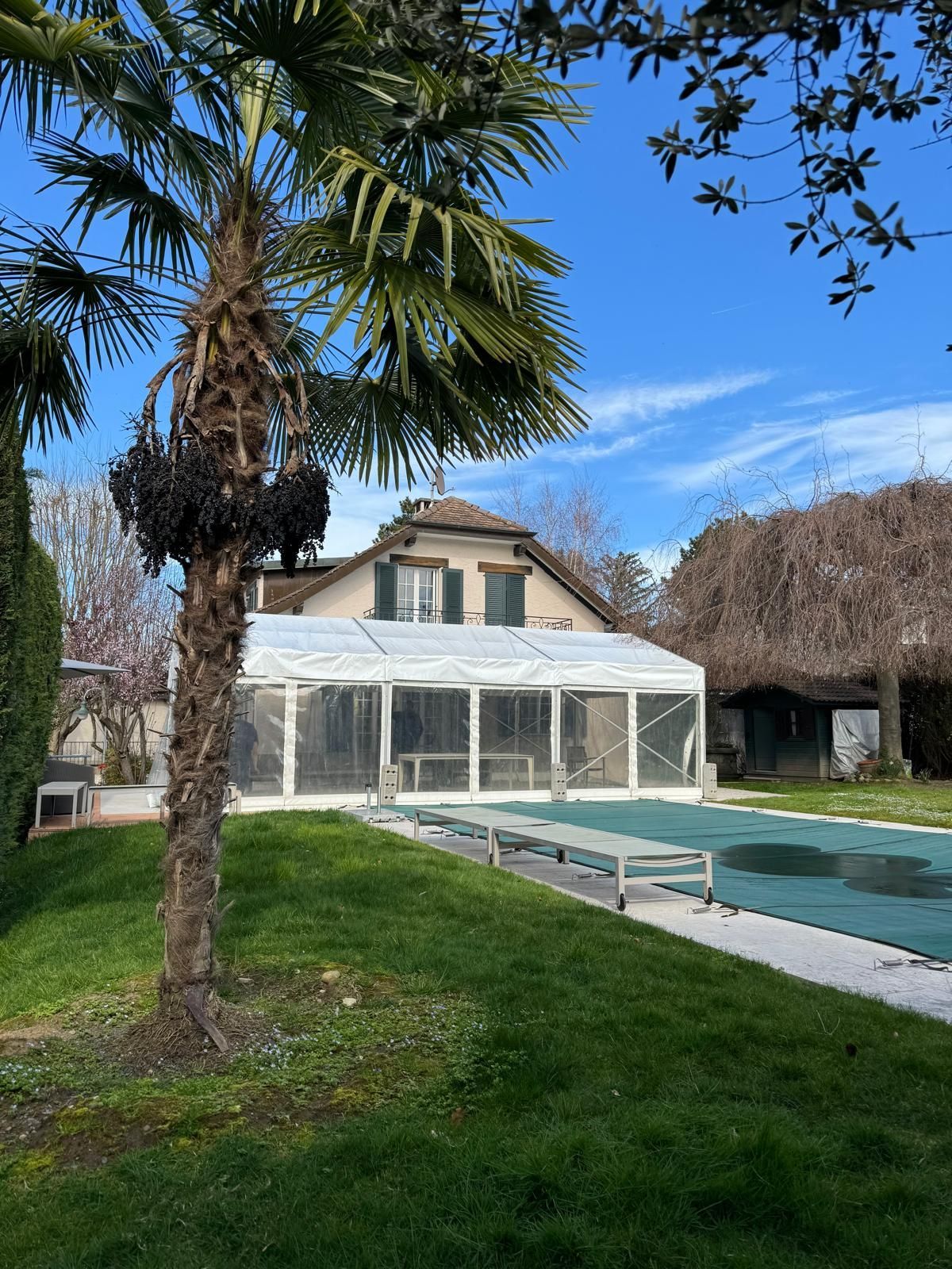Palmier devant une maison, piscine couverte et tente blanche sur l'herbe sous un ciel bleu.