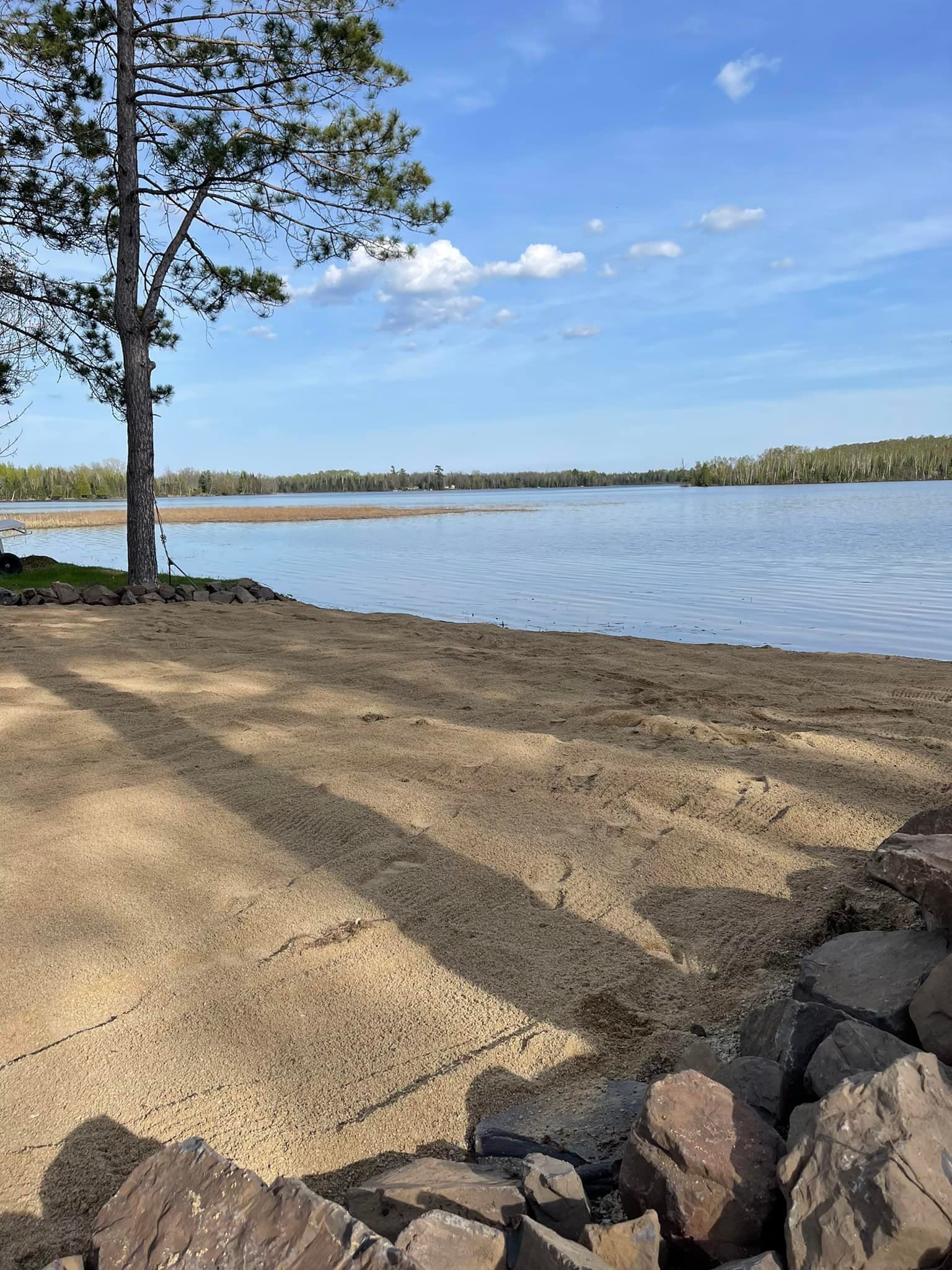 There is a tree on the shore of a lake.