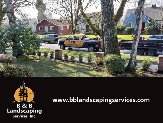 Professional Landscaping Cowlitz County, Lawn Care Services