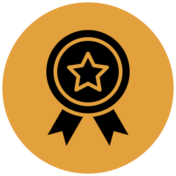 a medal with a star in the center and two ribbons around it .