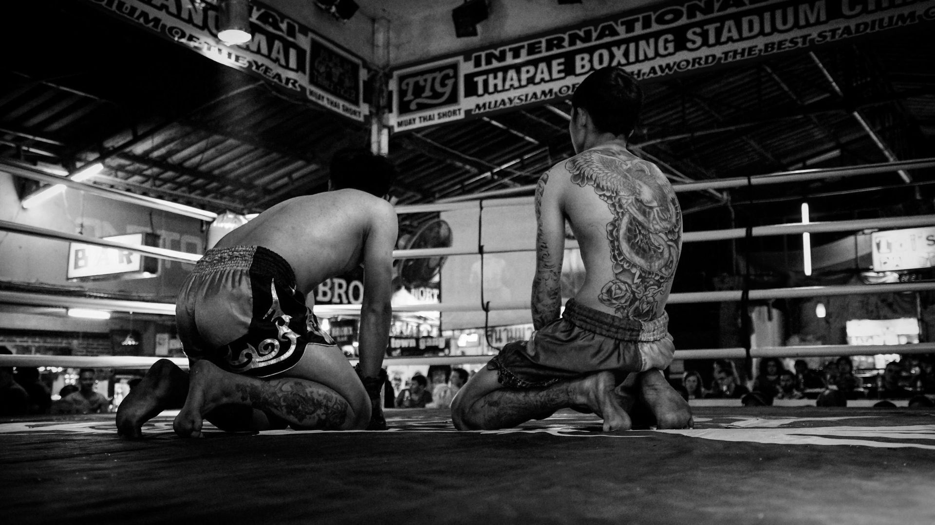 Muay Thai Kampfsportartikel und Muay Thai Kampfsportbedarf