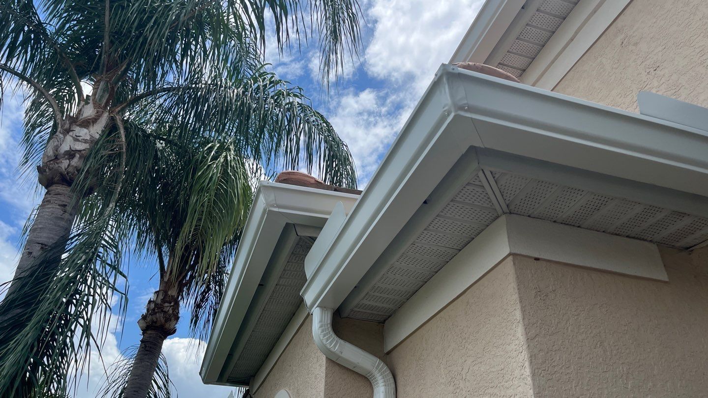 A white gutter on the side of a house with a palm tree in the background.