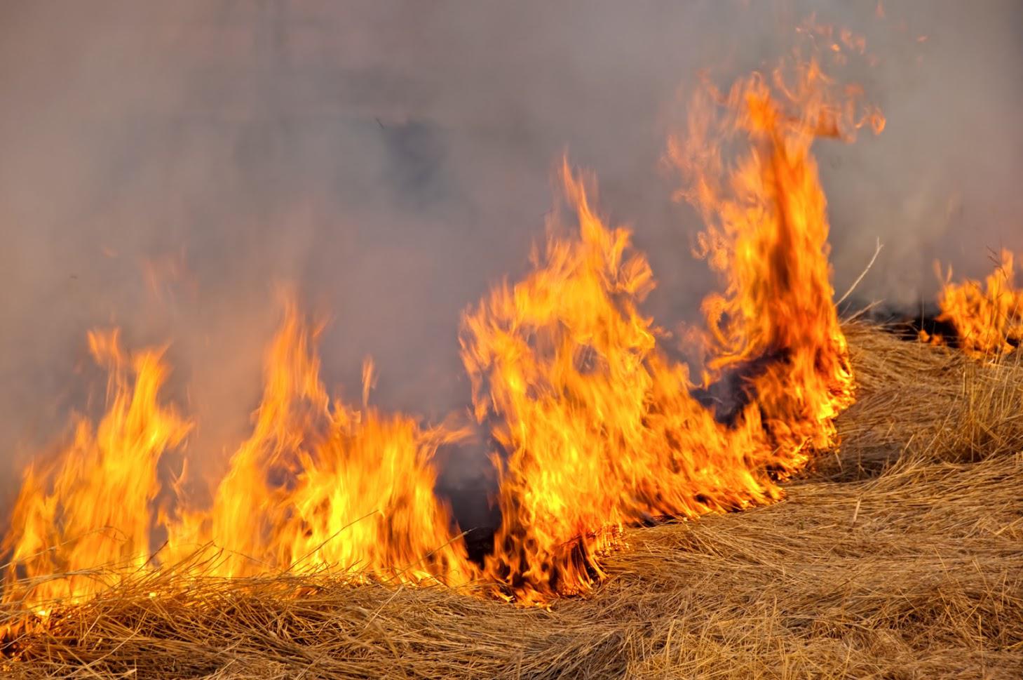 Flammables — Grass Fire in American Fork, UT