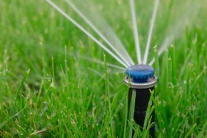 Improper Irrigation — Sprinkler Leap