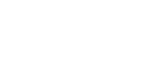 Logo for Valentine Municipal Airport with plane and stylized wings.