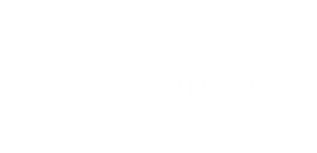 Logo for Valentine Municipal Airport with plane and stylized wings.