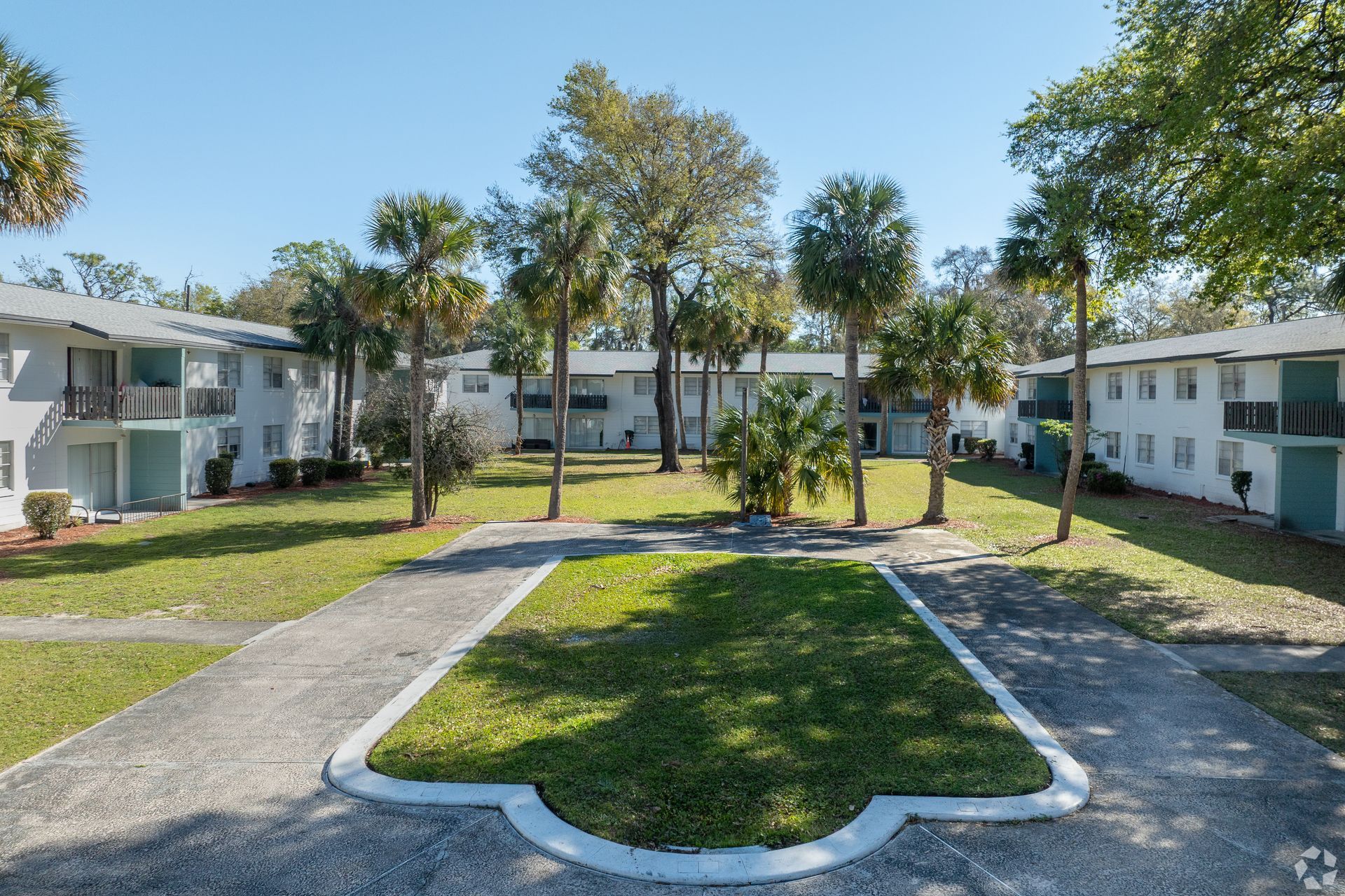 Apartment complex with two-story buildings, palm trees, and a grassy courtyard on a sunny day at Caroline Village in Jacksonville, FL.