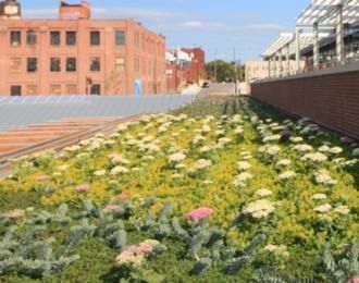 Green roof with various flowering plants; red brick building in background.