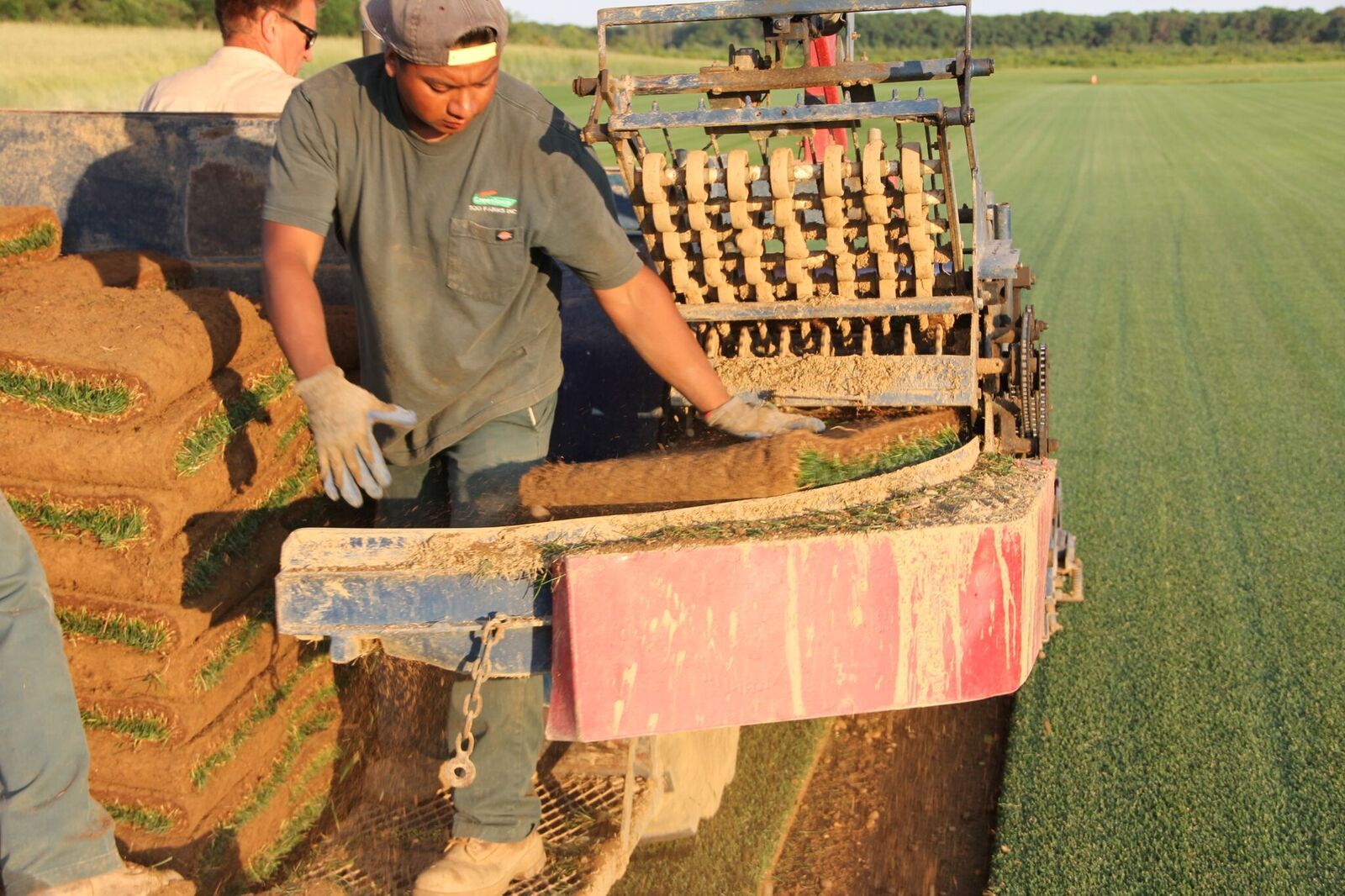 Tractor at nighttime—sod farming in Wading River, NY