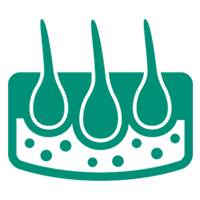 Icona - Controllo nei
