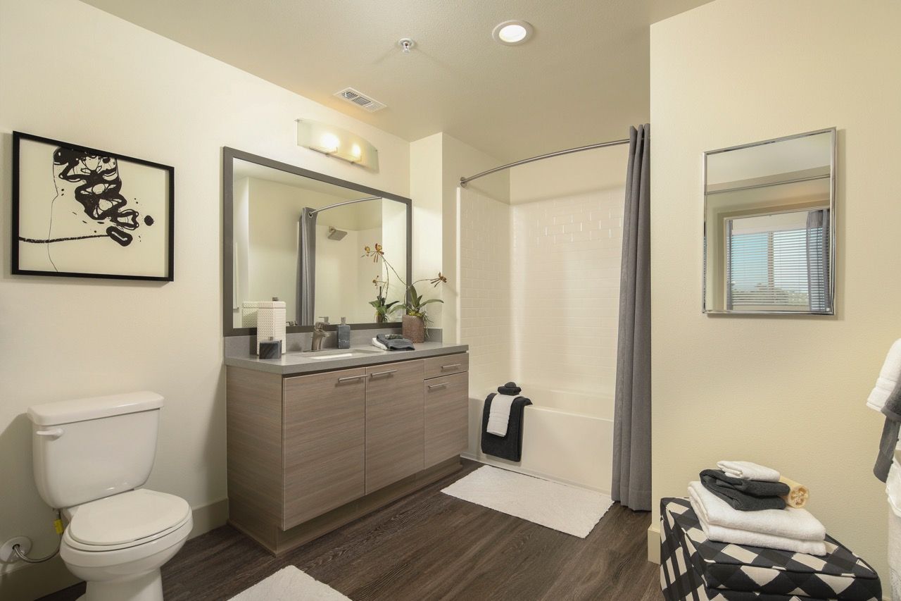 Modern apartment bathroom with vanity, mirror, toilet, and tub/shower with curtain.