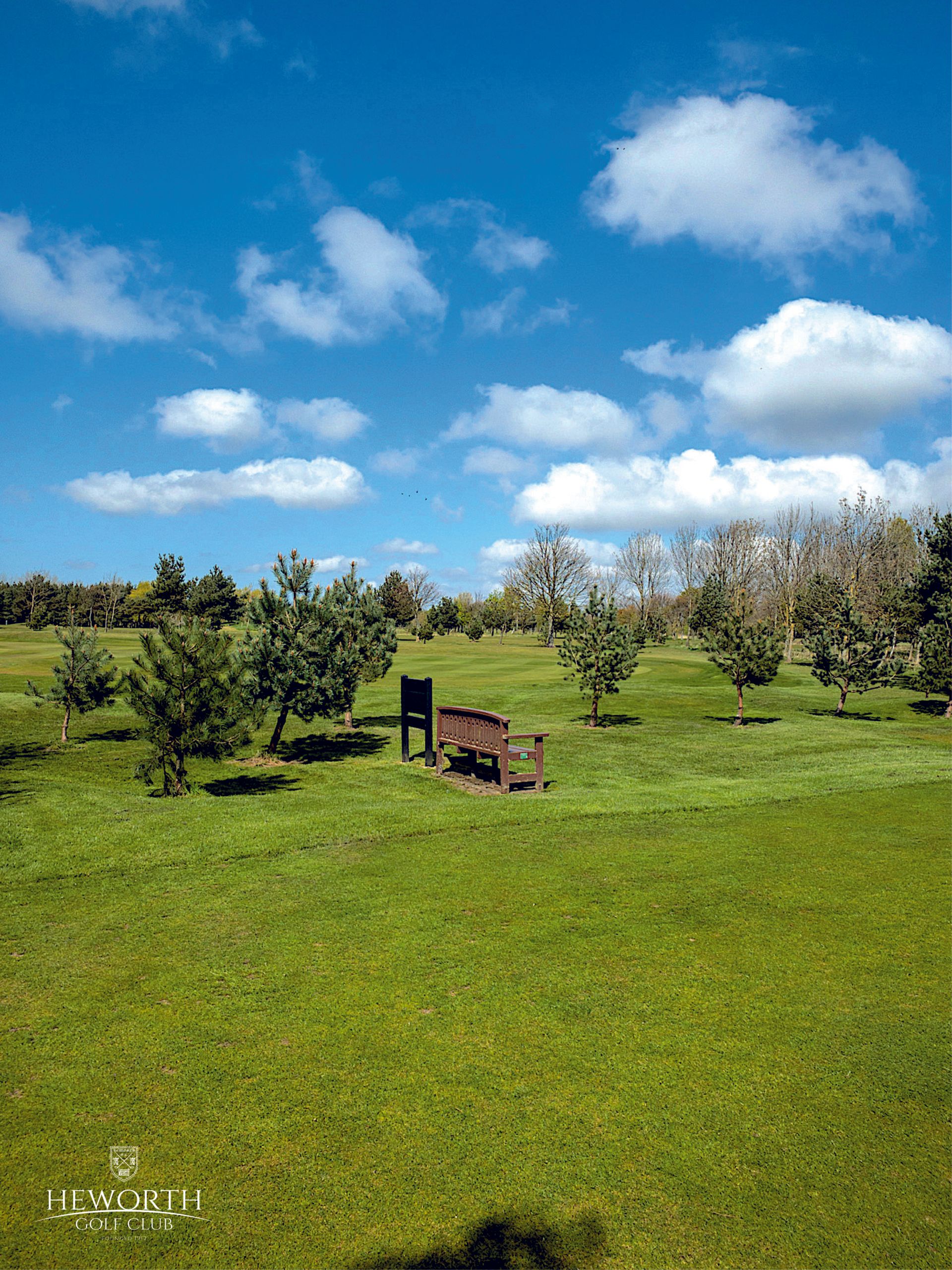 A wooden bench is sitting in the middle of a grassy field.