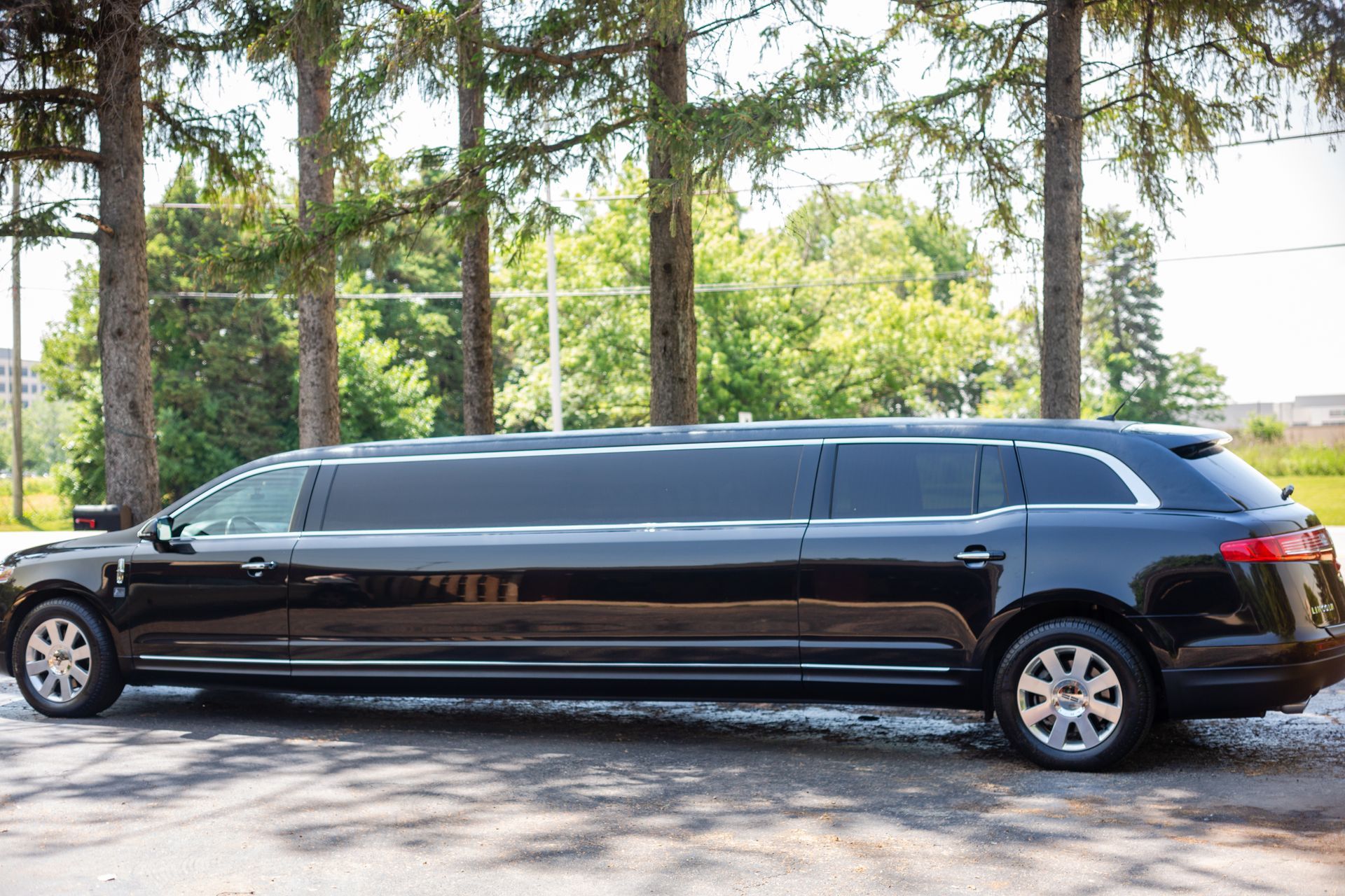 A black limousine is parked in front of a forest.