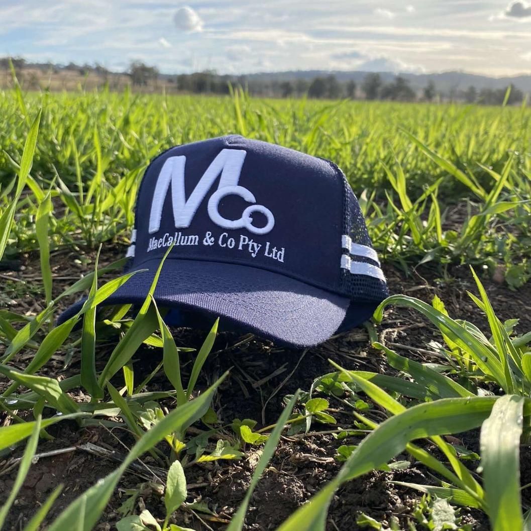 A Blue Hat is Sitting in the Grass in a Field — MacCallum & Company In Scone, NSW
