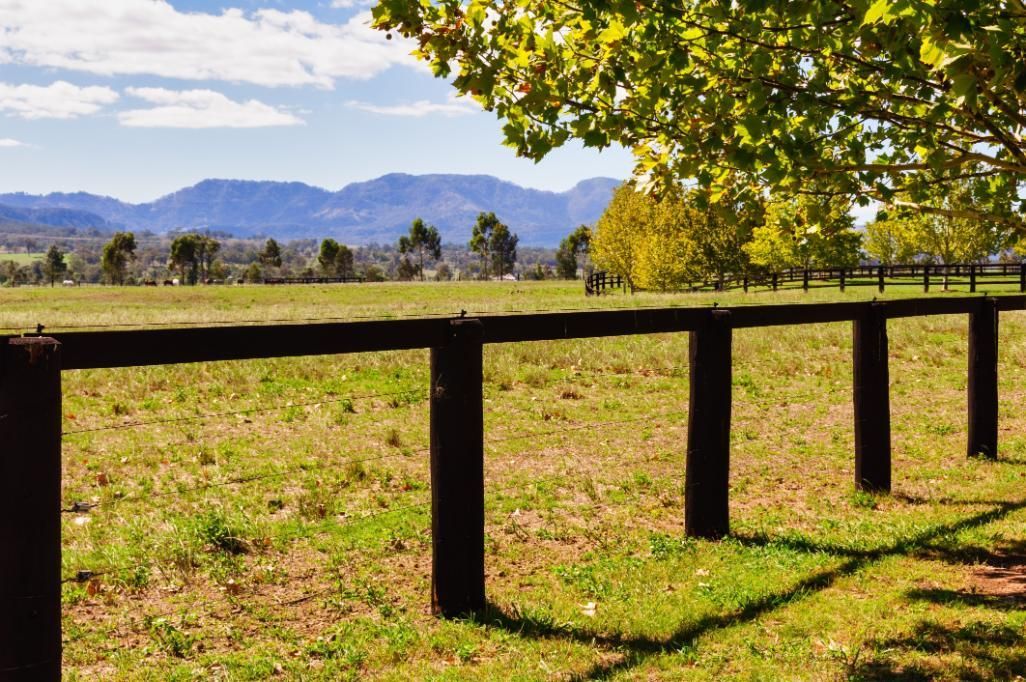 A Wooden Fence Surrounds a Grassy Field With Mountains  — MacCallum & Company In Murrurundi, NSW